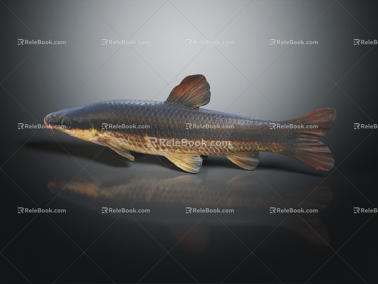 Modern Fish Pencil Fish Fish 3d model