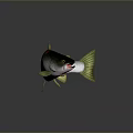 Decorative Fish Ornament With Silver White Body Red Spots And Green Fins