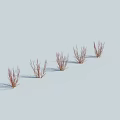 Red Shrubs With Slender Branches In A Row On Snowy Ground And Light Blue Sky