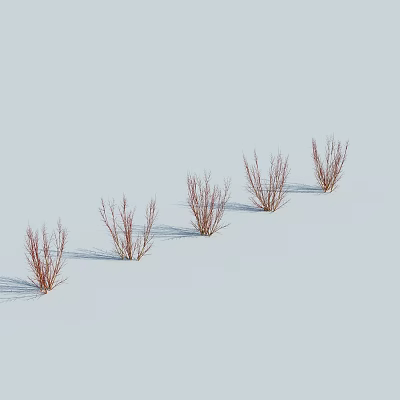 Red Shrubs With Slender Branches In A Row On Snowy Ground And Light Blue Sky 3d model