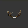 Decorative Deer Skull Mount With Golden Antlers And White Bone Display Base 3d model