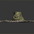 Natural Garden Landscape Featuring Moss Covered Tree Stump With Fallen Leaves On Circular Ground