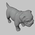 Realistic Brown And White Bulldog Puppy 3D Model With Standing Pose