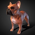 Modern Dog French Bulldog 3d model