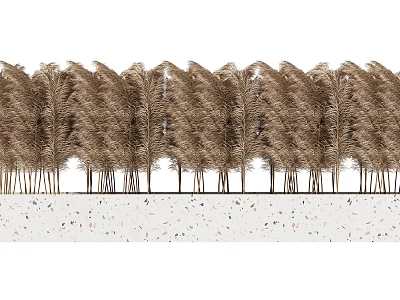 Tall Brown Reeds Neatly Arranged Along Light Colored Ground With Colorful Speckles Below 3d model
