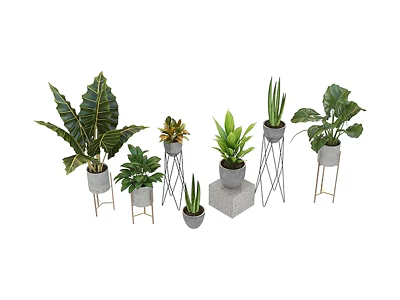 Indoor Plant Combination With Various Leaf Shapes Ceramic Concrete Pots And Metal Stands 3d model