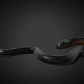 Snake with black and brown colored shiny body on dark background 3d model
