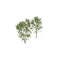 Decorative Ornament Set With Green Tree Figurines Small Human Statue And Foliage Decor