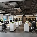 Public Office Space With Multiple Desks Computers Black Chairs Green Plants And Natural Light