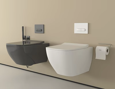 Modern Wall Mounted Black And White Toilets With Flush Plates And Toilet Paper Holder 3d model