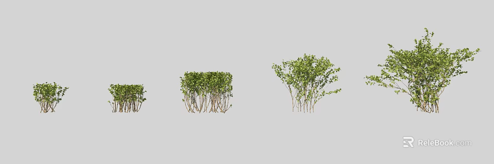 Various Green Leafy Shrubs In Different Sizes And Natural Growth Forms 3d model