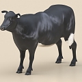 Cow Cow Black Cow Black Cow Buffalo 3d model