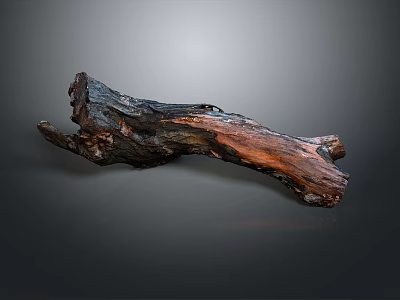 Natural Plant Wood Trunk with Dark Background and Rich Brown Textured Surface 3d model