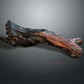 Natural Plant Wood Trunk with Dark Background and Rich Brown Textured Surface
