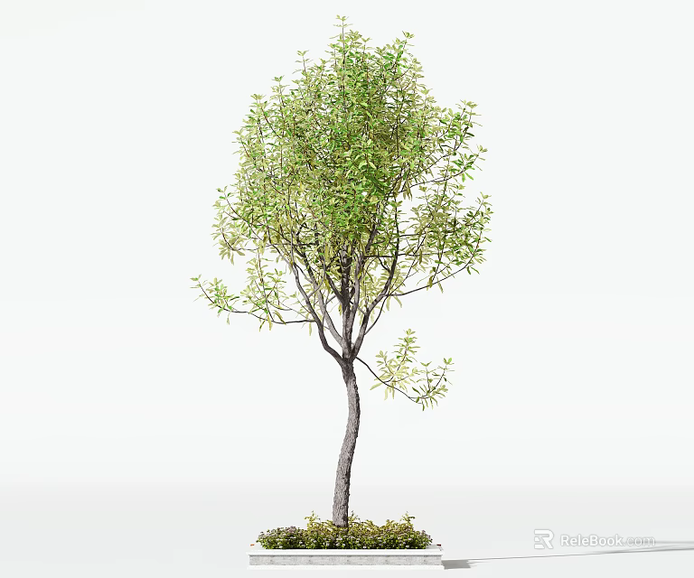 Tree Pit With Lush Green Tree And Slender Trunk In Outdoor Setting 3d model