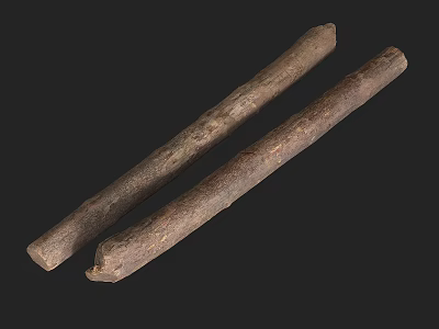 Natural Stone Wood Logs with Rough Texture and Organic Shape as Two Unprocessed Wooden Sticks 3d model