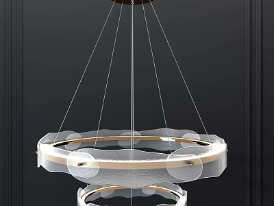 Modern Double Ring Circular Chandelier With Transparent Acrylic Shade And Metal Frame Design 3d model