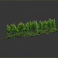Rectangular Green Vegetation Plantation With Orderly Rows Of Lush Foliage