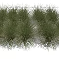 Lush Green Grasses In Natural Clumps With Soft Texture And Vibrant Foliage