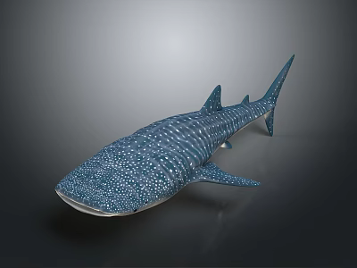 Whale Shark 3D Rendered Model With Blue Body White Spots On Gray Gradient Background 3d model