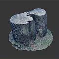 Wooden Stone Tree Stumps with Rustic Bark Texture Natural Cross Sections and Grass Base