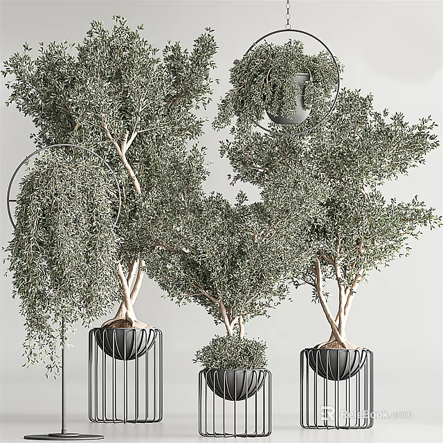 Bonsai Potted Plants with Twisted Trunks Lush Leaves and Black Metal Round Stands 3d model 