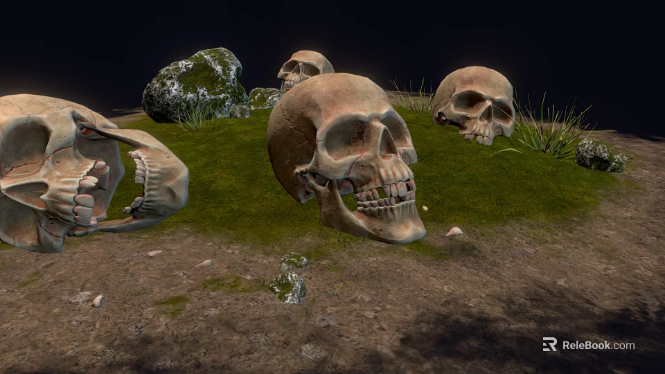Medical Anatomical Skull Specimens Lying On Grassy Ground With Stones 3d model 