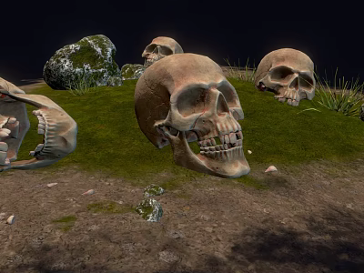 Medical Anatomical Skull Specimens Lying On Grassy Ground With Stones 3d model