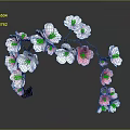 Pink and White Cherry Blossom Branch Featuring Delicate Flowers and Curved Twigs