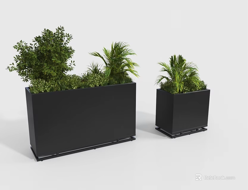 Modern Black Rectangular Planters With Lush Green Bonsai Potted Plants 3d model