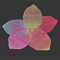 Vibrant Pink Flower with White Striped Petals on Dark Background Showing Soft Reflection