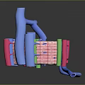 modern eukaryotic cell cross section cell structure cell tissue 3d model