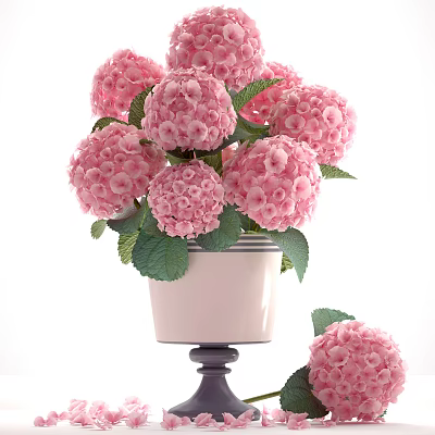 Pink Hydrangea Flowers in White Striped Vase with Dark Base Green Leaves and Fallen Bloom 3d model