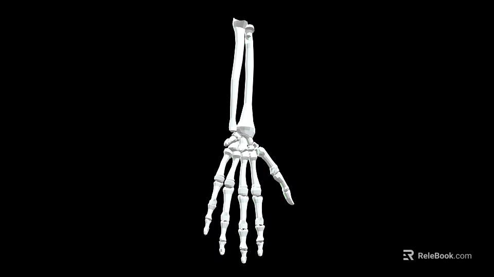Detailed Human Hand Skeleton Organ Anatomy Structure Visualization on Black Background 3d model 