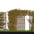 Lush Climbing Plant Combination With Orange Flowers On Bamboo Trellis And Garden Archway