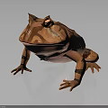 Brown and Beige Frog with Unique Markings and Rounded Body on Gray Background