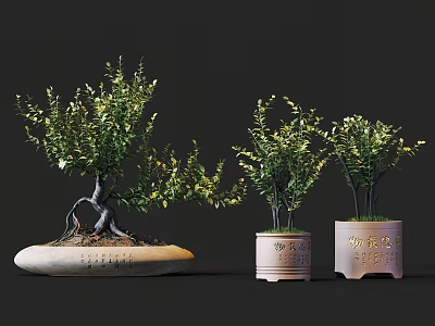 Bonsai Plants With Exposed Roots In Oval Stone Pot And Pink Cylindrical Pots With Inscriptions 3d model