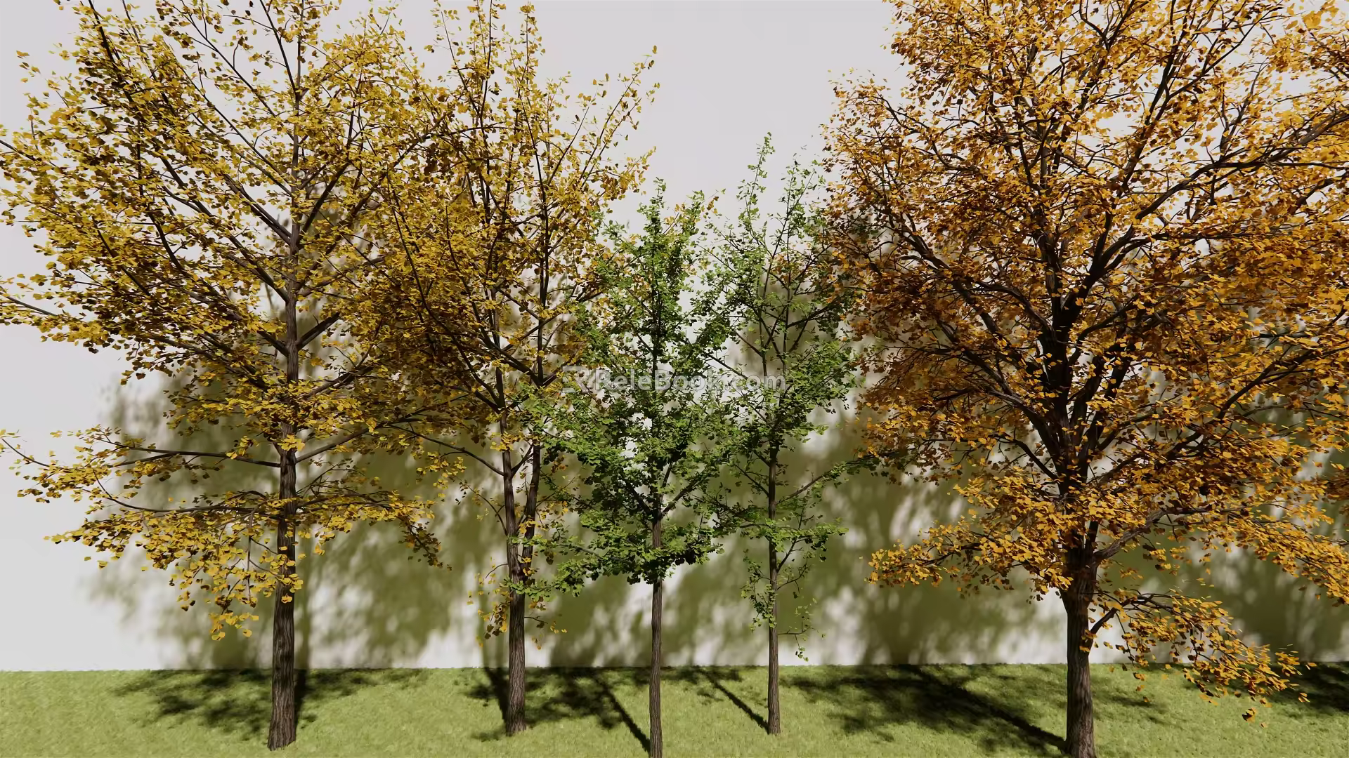 The Modern Tree 3d model