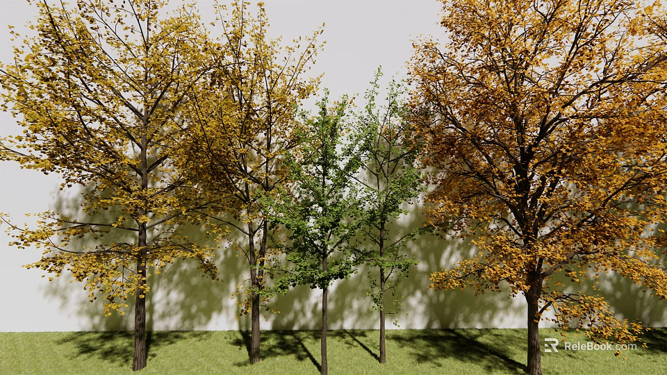 Upright Arbor Trees With Yellow And Green Leaves Against White Wall And Green Grass 3d model 