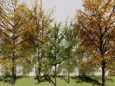 Upright Arbor Trees With Yellow And Green Leaves Against White Wall And Green Grass 3d model