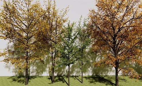 The Modern Tree 3d model