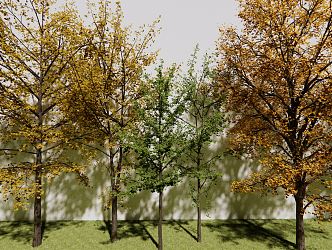 The Modern Tree 3d model