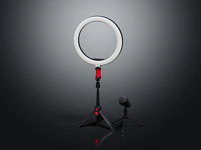 Ring Light with Tripod Stand and Microphone for Content Creation Setup 3d model