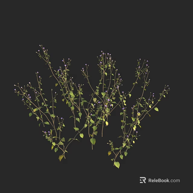 Green Plants with Slender Stems Green Leaves and Purple Flowers on Black Background 3d model 