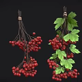 Fresh Red Berries with Green Leaves Hanging on Black Background
