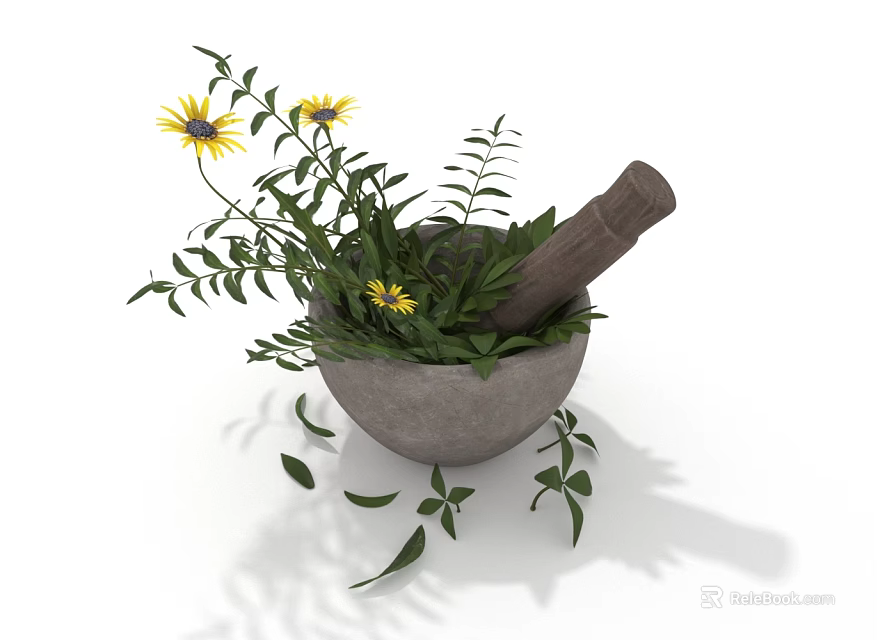 Plant with Yellow Flowers in Stone Mortar and Wooden Pestle with Green Leaves 3d model 