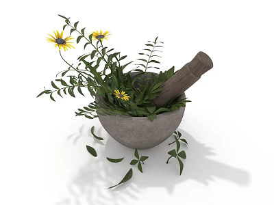 Plant with Yellow Flowers in Stone Mortar and Wooden Pestle with Green Leaves 3d model