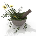Plant with Yellow Flowers in Stone Mortar and Wooden Pestle with Green Leaves