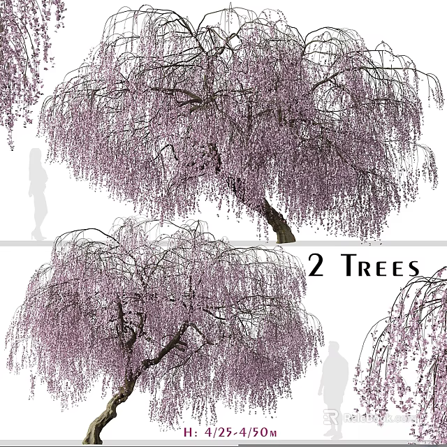 Weeping Wisteria Tree Decorative Ornament Set with Purple Flowers for Home Decor 3d model 