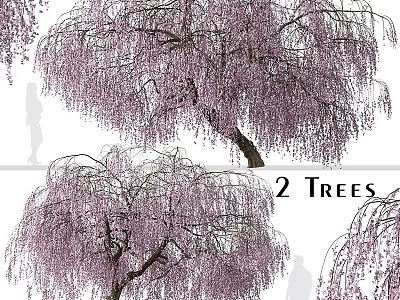 Weeping Wisteria Tree Decorative Ornament Set with Purple Flowers for Home Decor 3d model